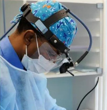 Dental Care Clinic, Dr. Marshall   Associates | Root Canals, Dental Sealants and Night Guards